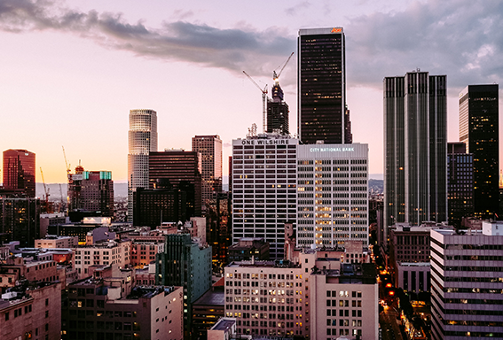 City of LA Downtown Skyline